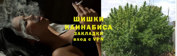 дмт Надым