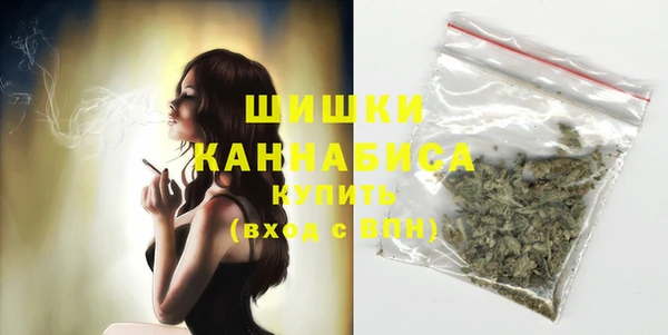 дмт Надым