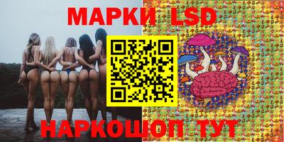 амф Кимры