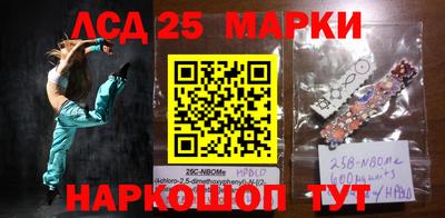 амф Кимры