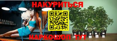 амф Кимры