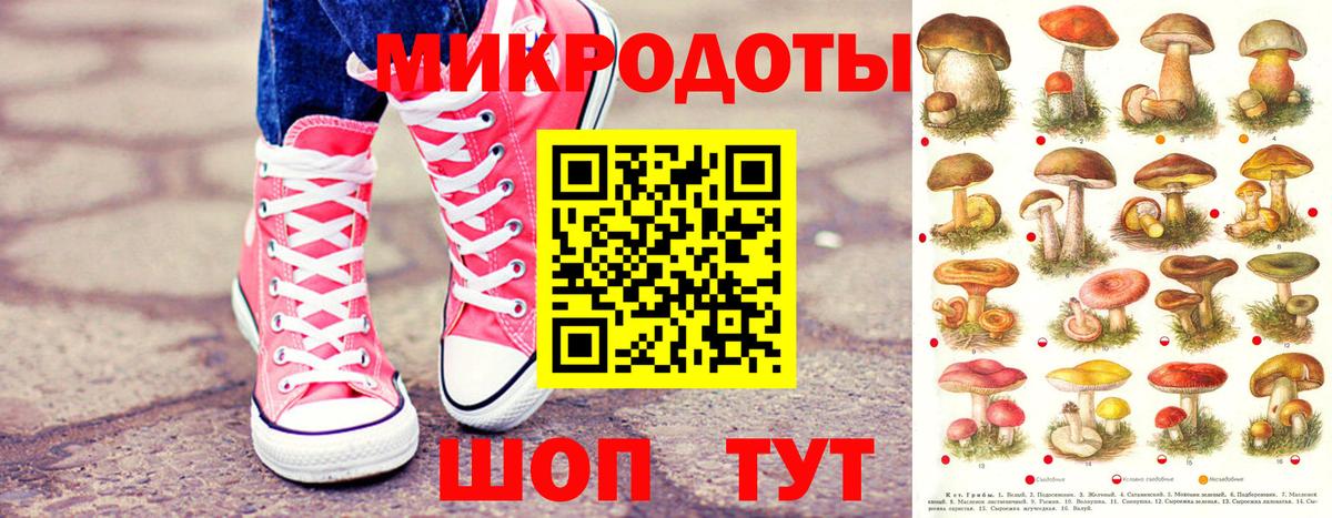 Липецк  Галлюциногенные грибы прущие грибы  где продают наркотики  Вход с VPN 
